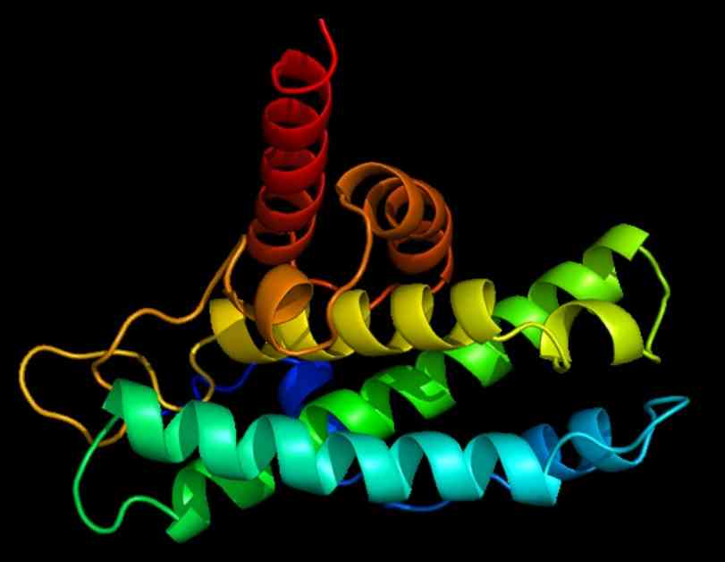 yeni-alzheimer-ilac-fare-modellerinde-toksik-proteinleri-azaltr-ve-hafzay-gelitirir