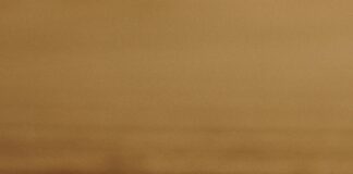 Akciğer Enfeksiyona Ne İyi Gelir: Doğal ve Etkili Çözümler